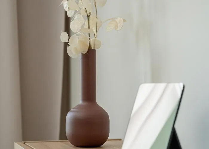 Modern With Parking And Air-conditioning In By Renters Daire